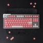 Peach Blossom GMK ABS Doubleshot 104+67 Full Double Shot Keycaps for Cherry MX Mechanical Gaming Keyboard 84/75/980